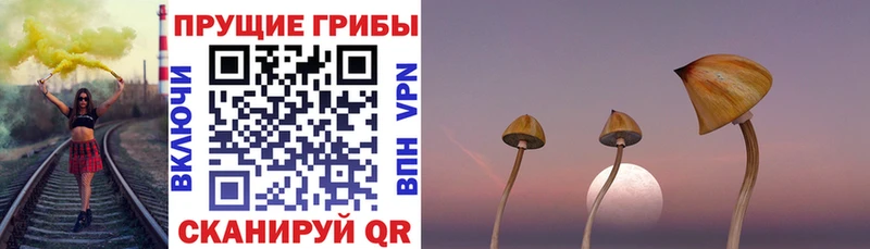 Галлюциногенные грибы мухоморы  Печора 